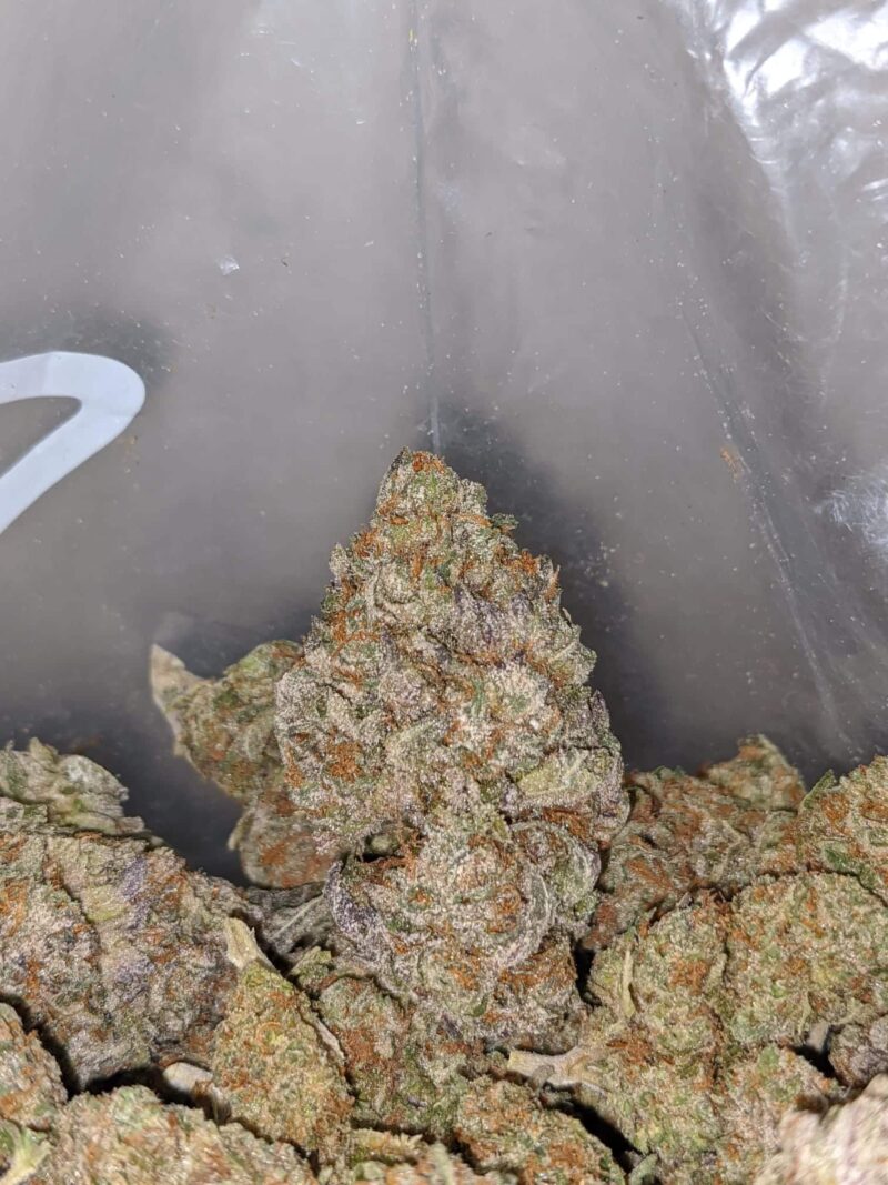 Cake Breath - Image 7