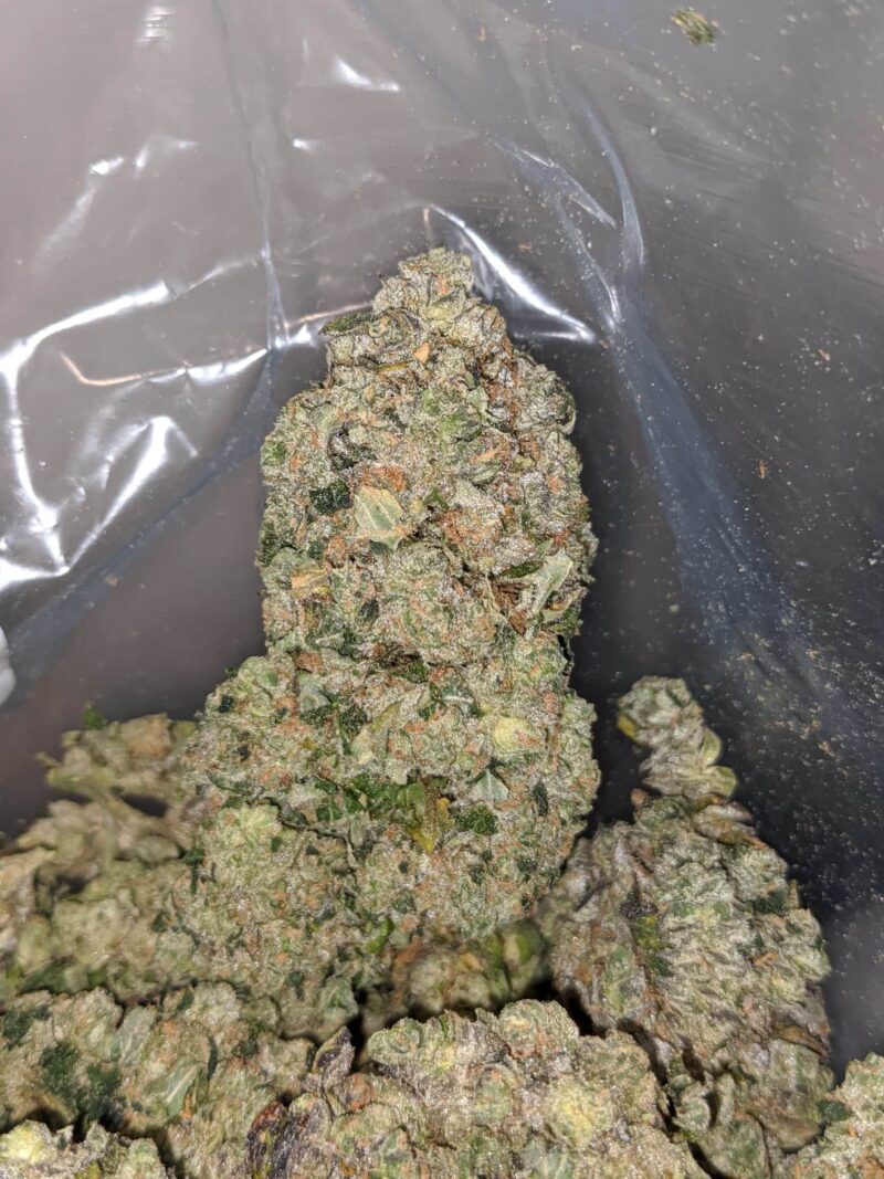 Cali Cookies - Image 6