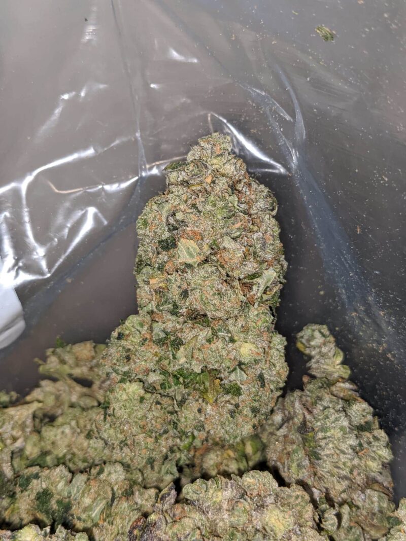 Cali Cookies - Image 7