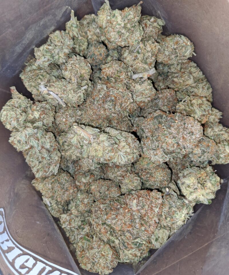 California Dream - Image 4