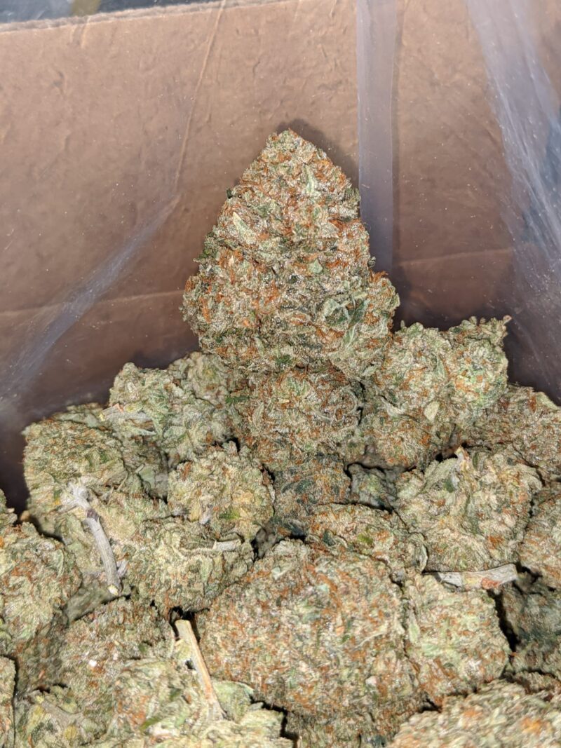 California Dream - Image 7