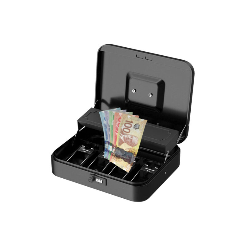 Canadian dollars Briefcase