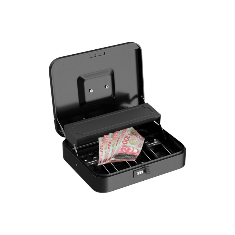 New Zealand dollars Briefcase