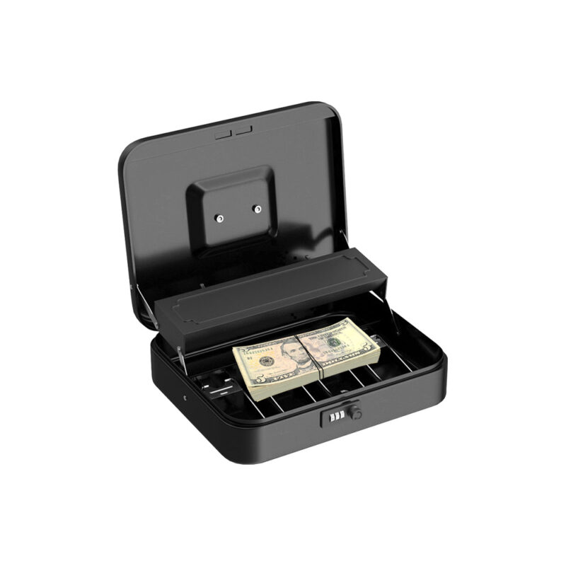 US dollars Briefcase