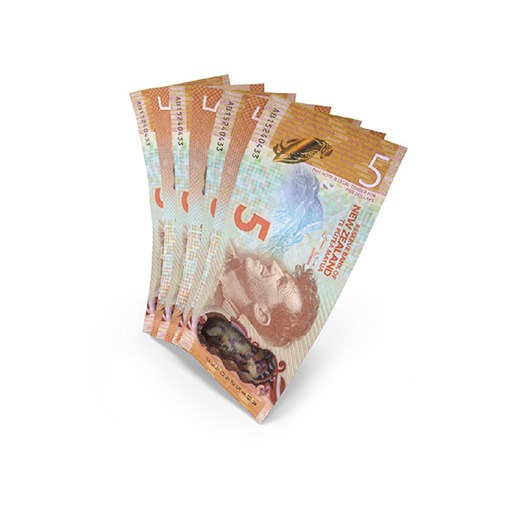 Fake 5 New Zealand Dollar