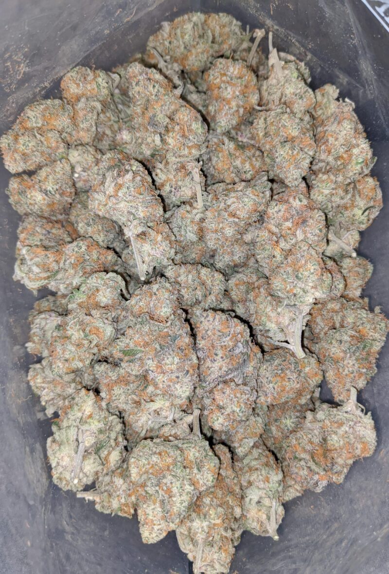 Cereal Milk #2 - Image 4