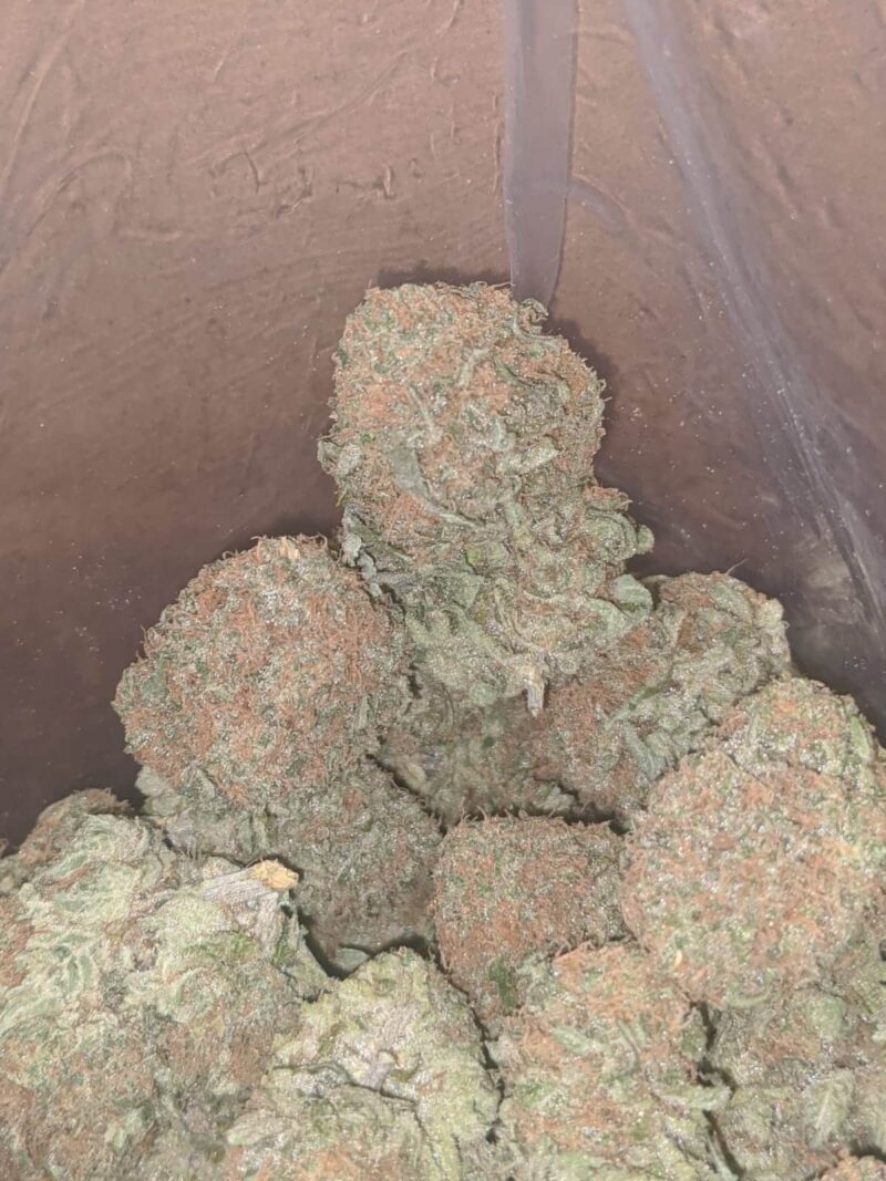 Cheese And Chong - Image 5