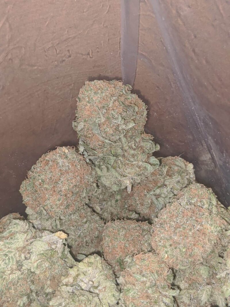 Cheese And Chong - Image 4