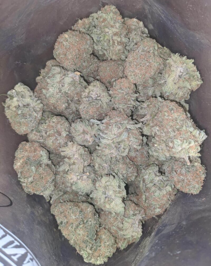 Cheese And Chong - Image 7