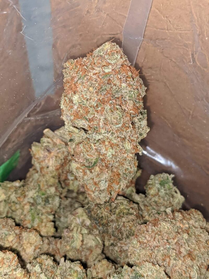 Chem Glue - Image 4