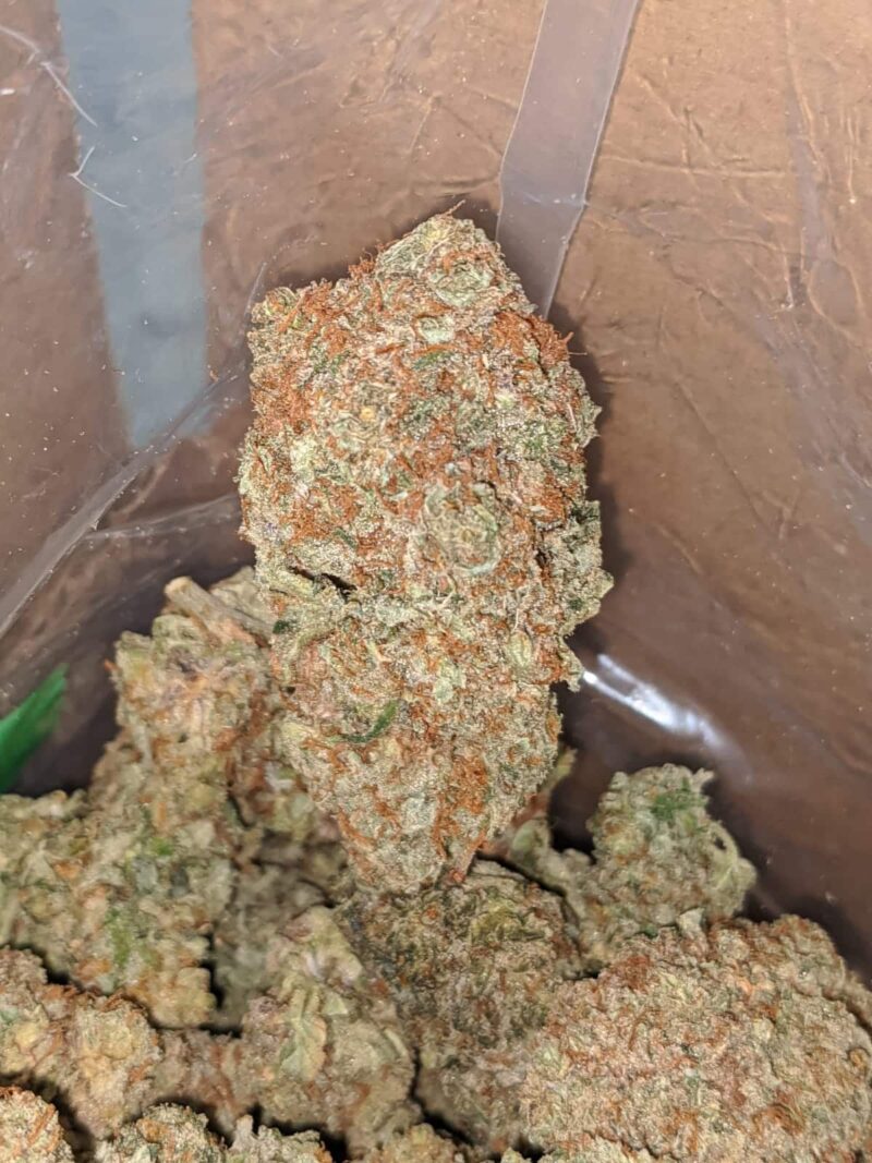 Chem Glue - Image 7