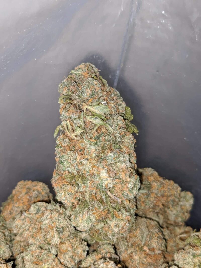 Chemdawg OG - Image 5