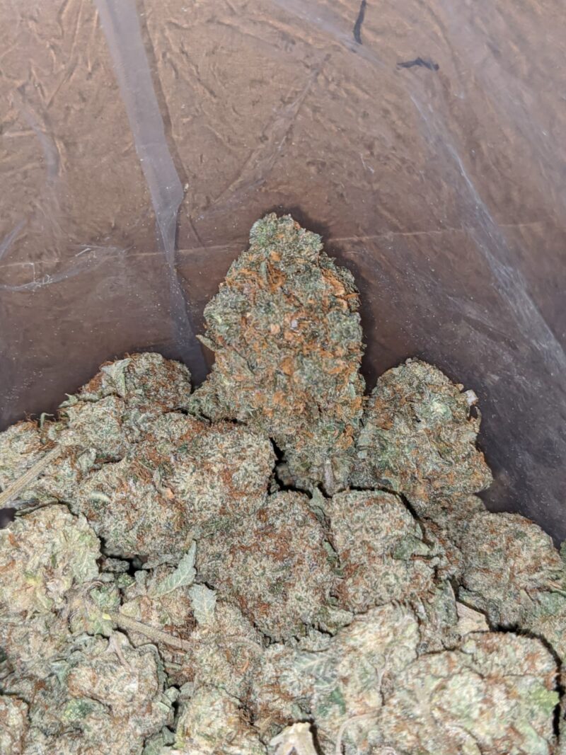 Chemdawg - Image 7