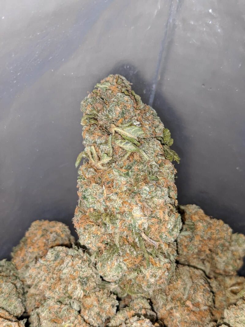 Chemdawg OG - Image 6