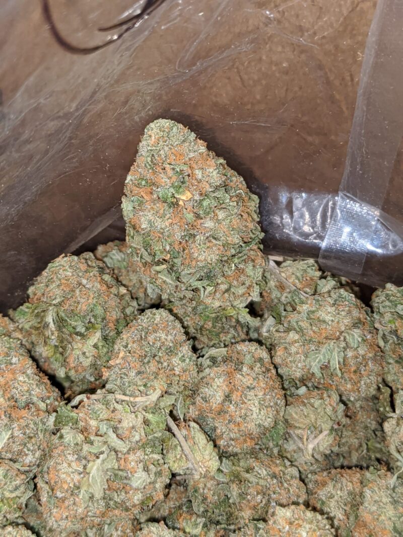 Chemo - Image 4
