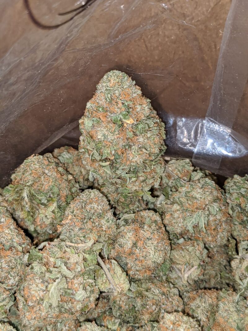 Chemo - Image 7