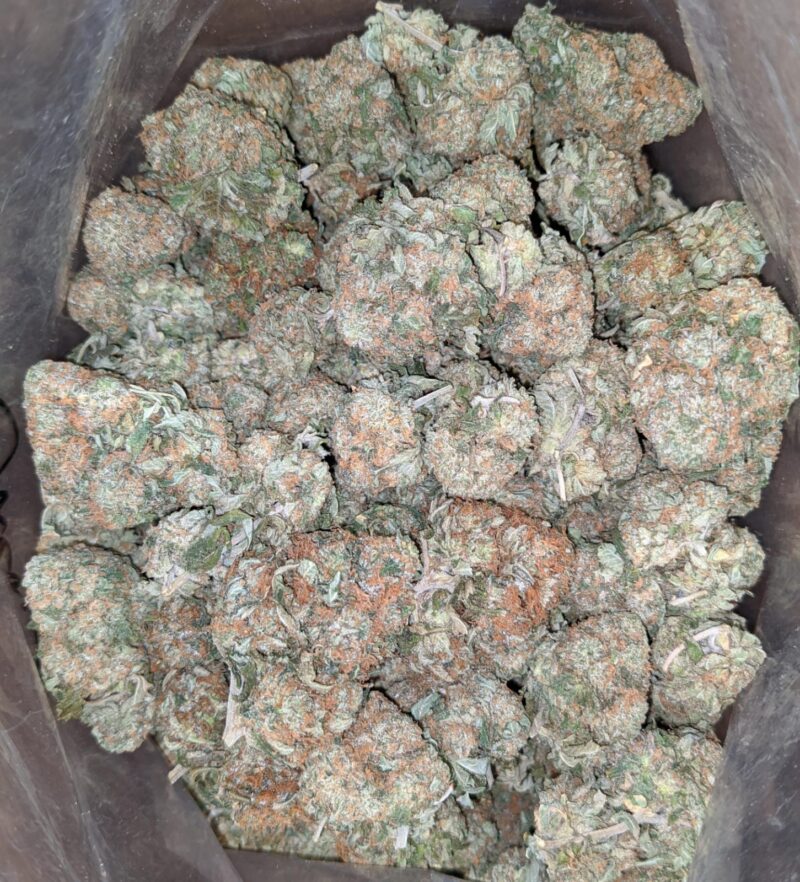 Chemo - Image 6