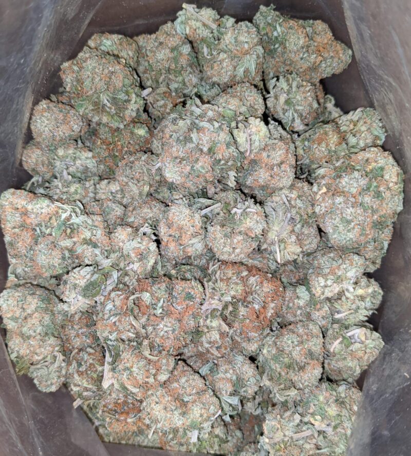Chemo - Image 5