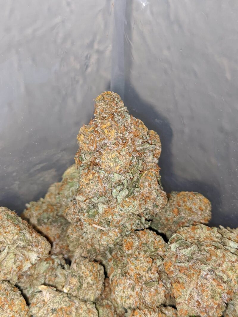 Cherry Diesel - Image 4
