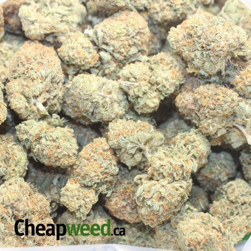 Cherry Diesel - Image 3