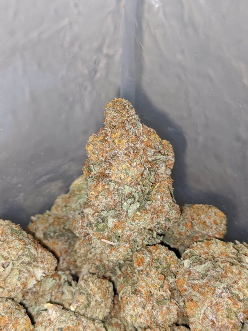 Cherry Diesel - Image 7