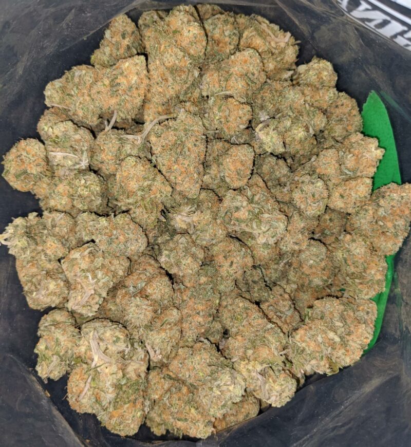 Chimera – *Deal Of The Day* - Image 6