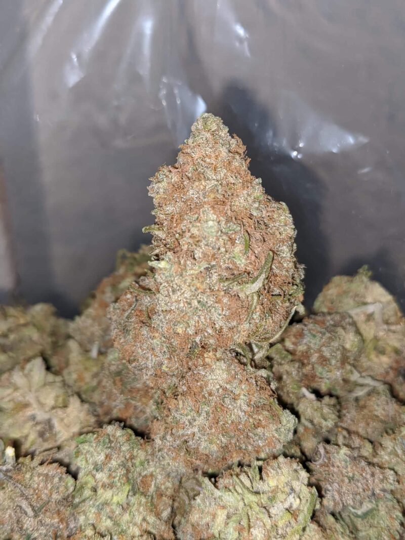 Chocolate Diesel - Image 7
