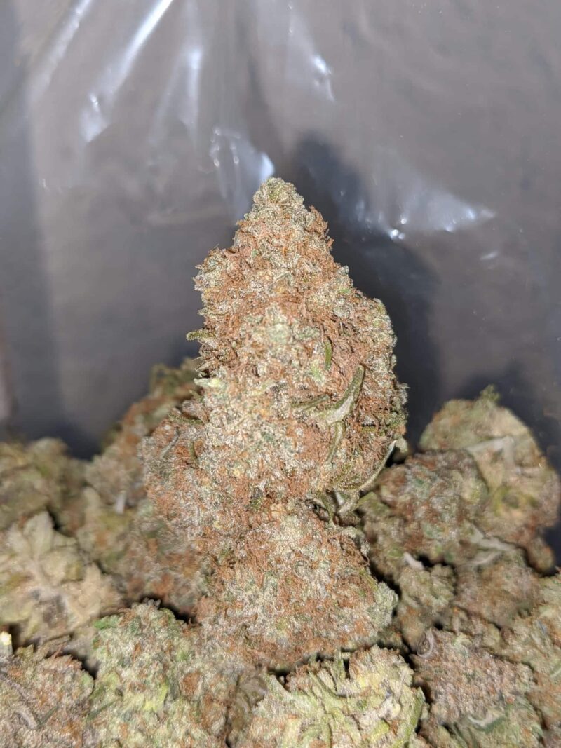 Chocolate Diesel - Image 6