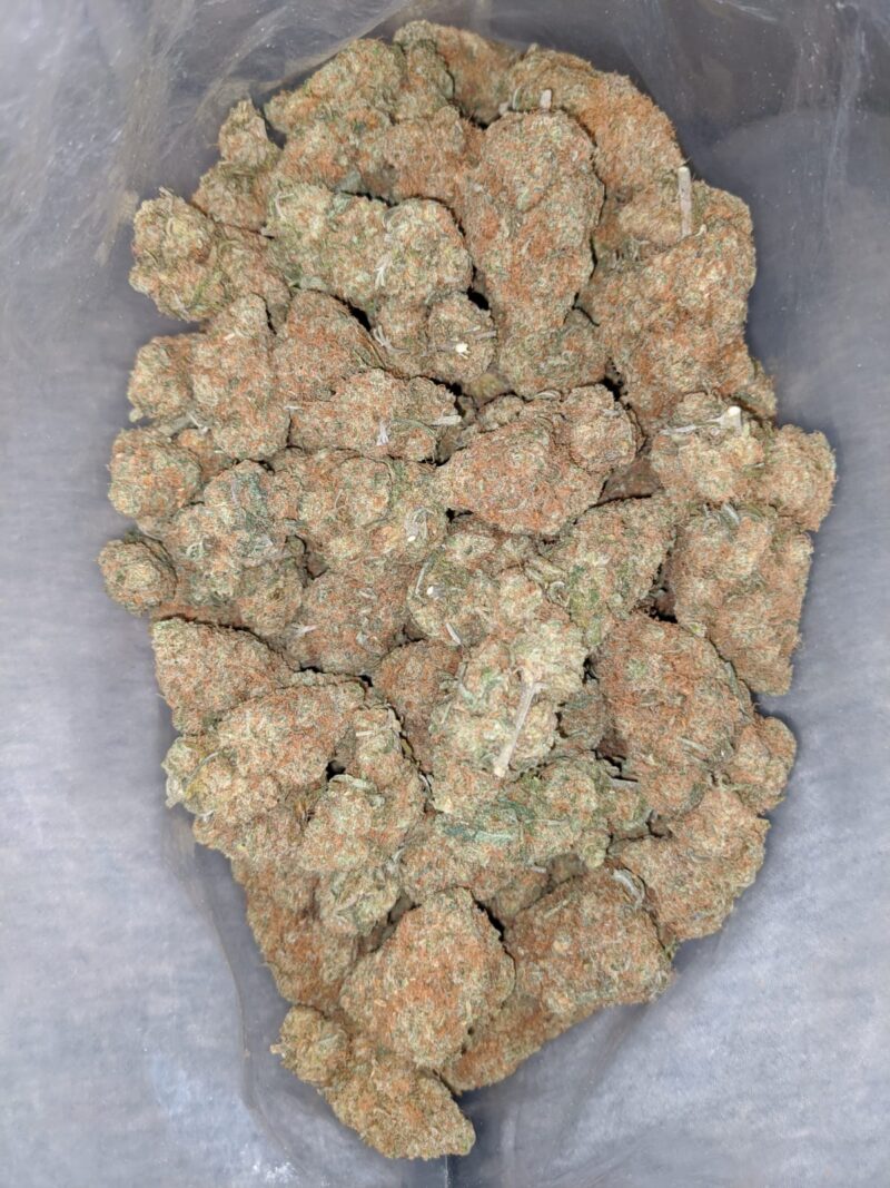 Chocolate Haze – *Deal Of The Day* - Image 5