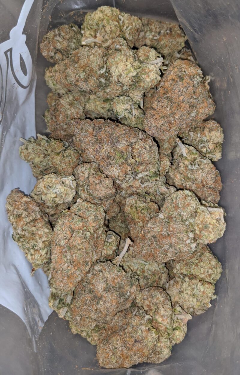 Chocolate Skunk - Image 4