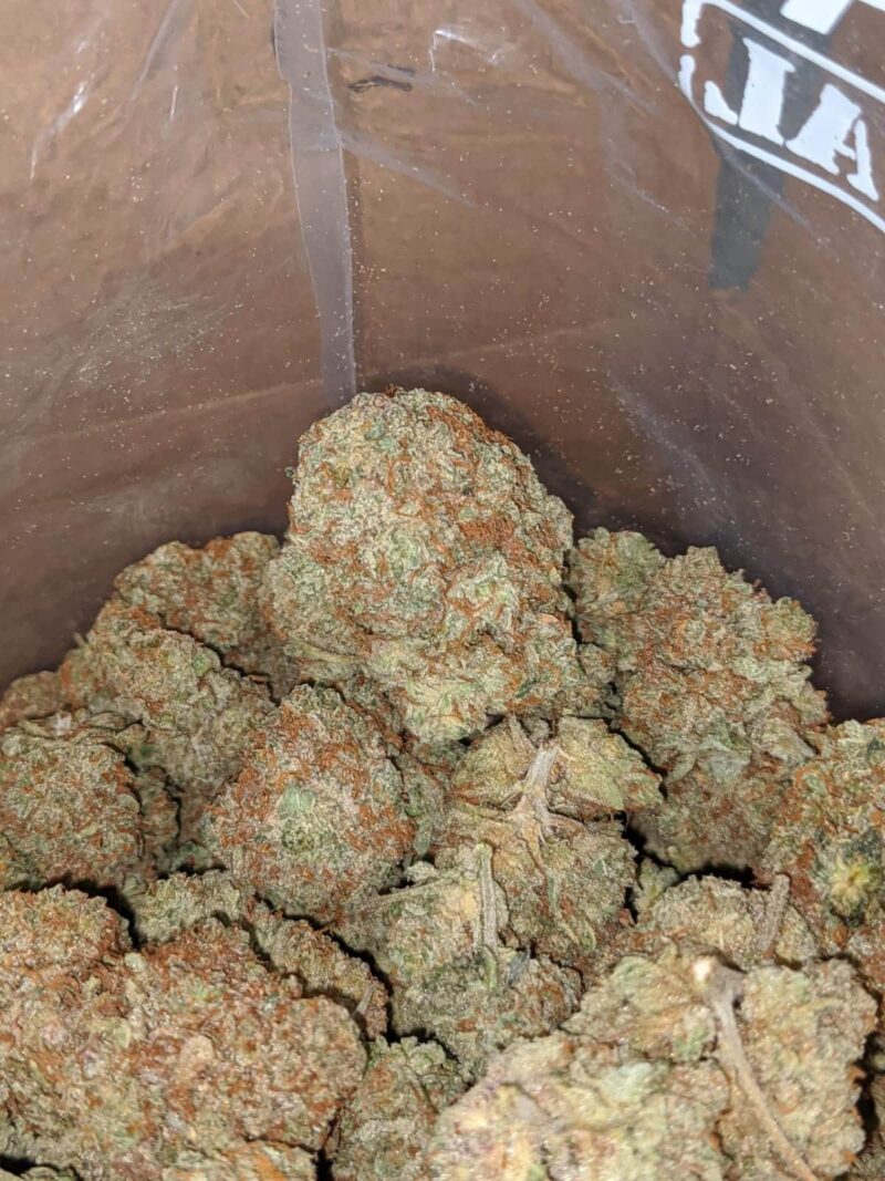 Citrus Glue - Image 4