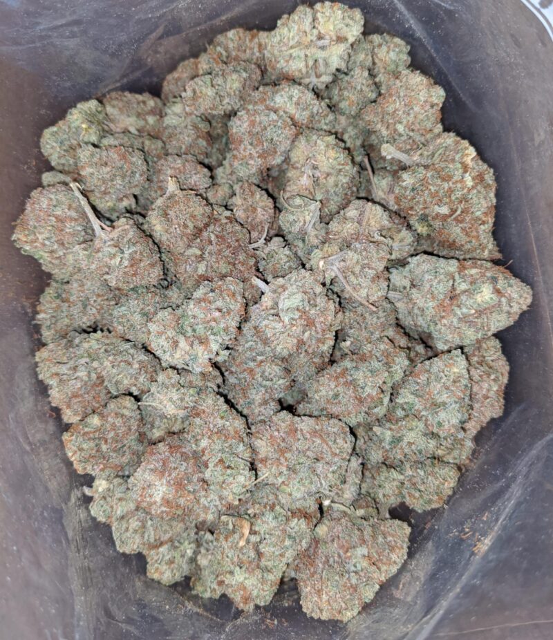 Citrus Glue - Image 7