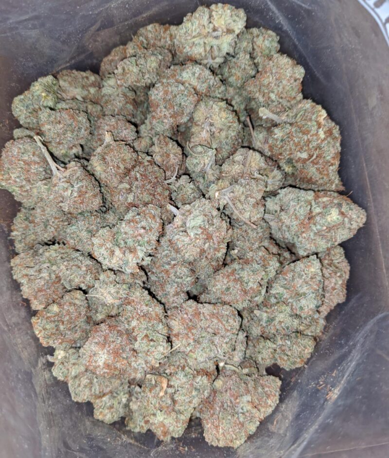 Citrus Glue - Image 6