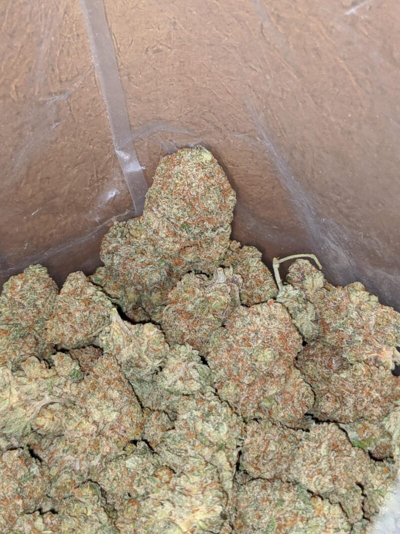 Citrus Haze - Image 4