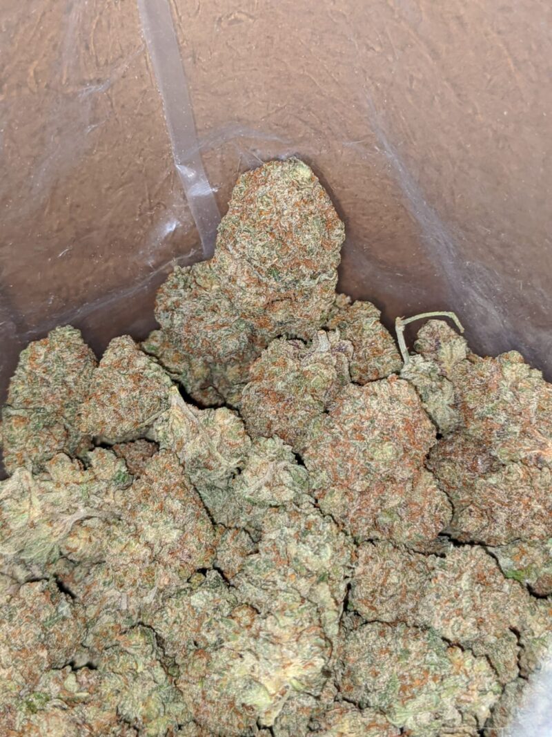 Citrus Haze - Image 7