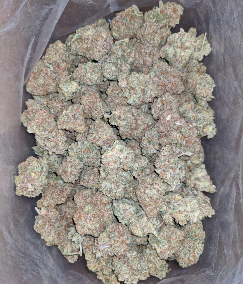 Citrus Haze - Image 6