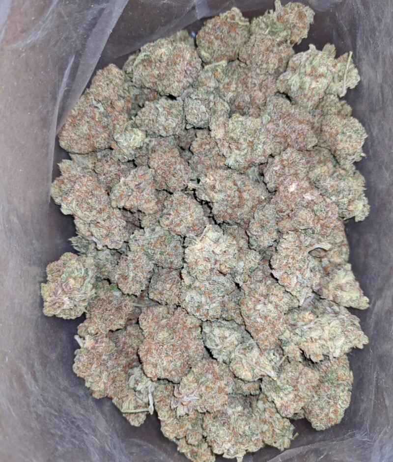 Citrus Haze - Image 5