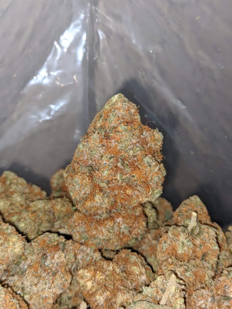 $ 65 – Coco Kush - Image 4