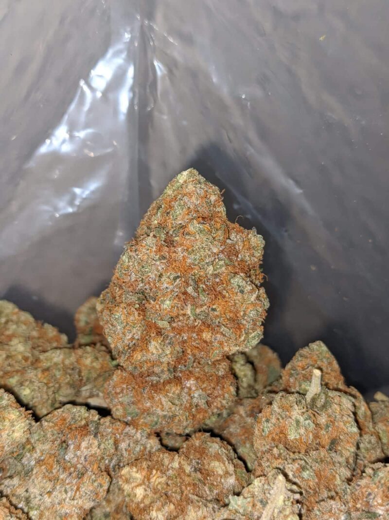 $ 65 – Coco Kush - Image 7
