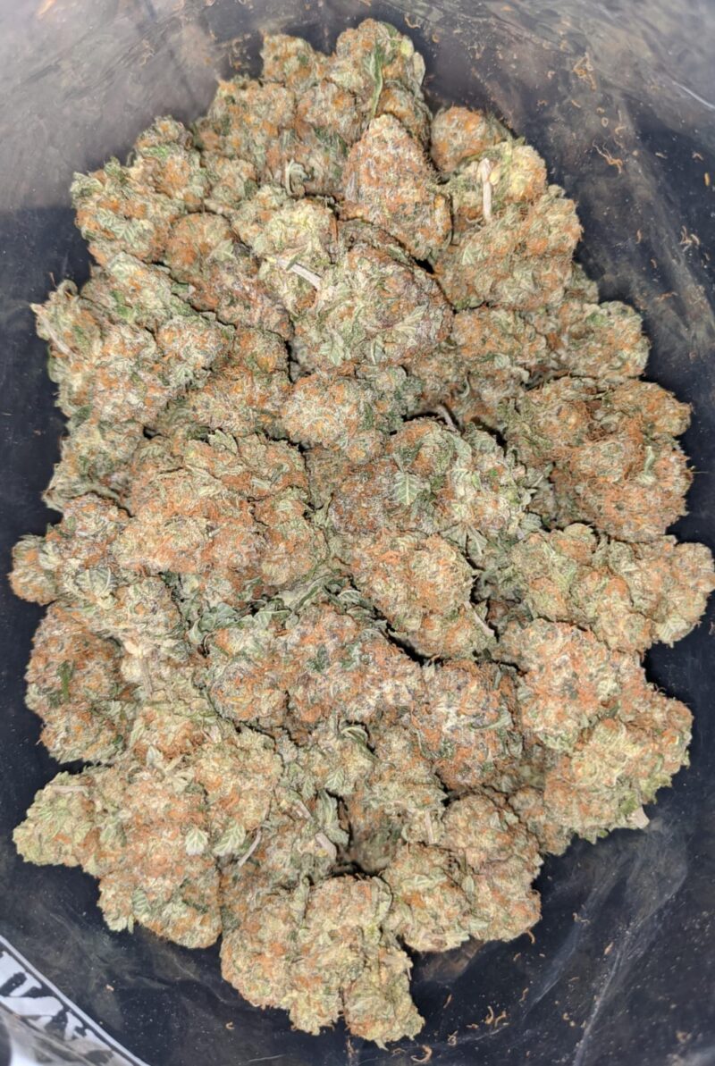 Cocomelon - Image 5