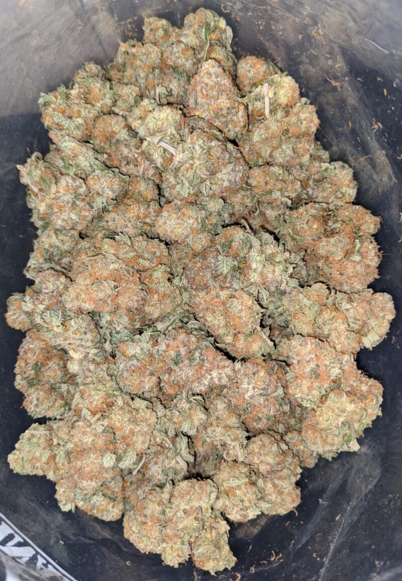 Cocomelon - Image 4