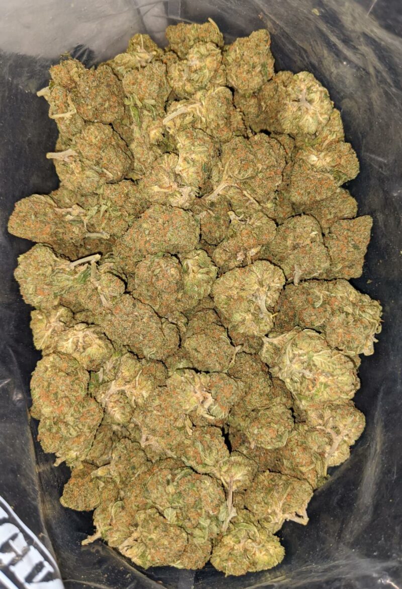 Columbian Gold – *Deal of the Day* - Image 6