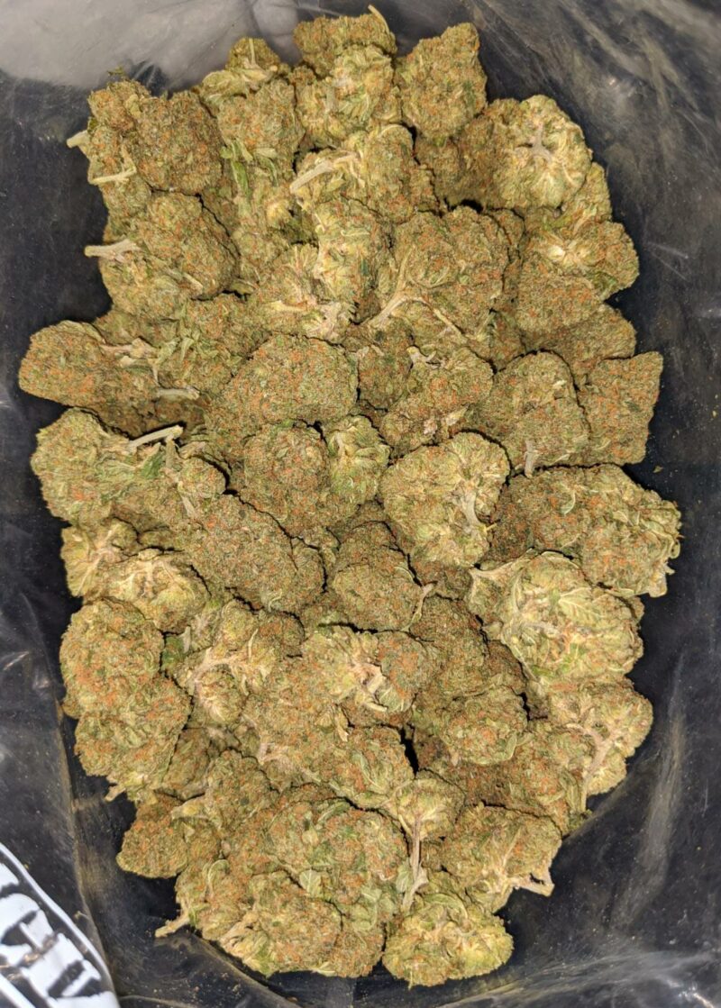 Columbian Gold – *Deal of the Day* - Image 5
