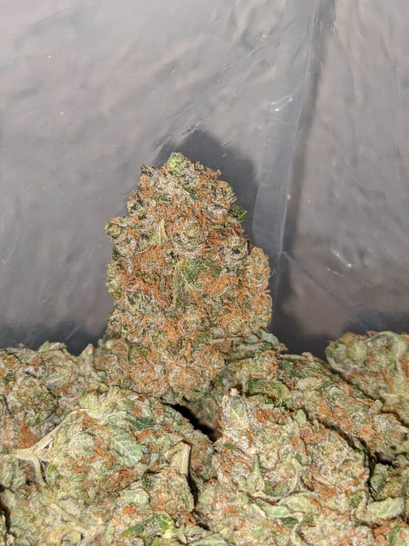 $ 72 Oz – Cookie Dough - Image 6