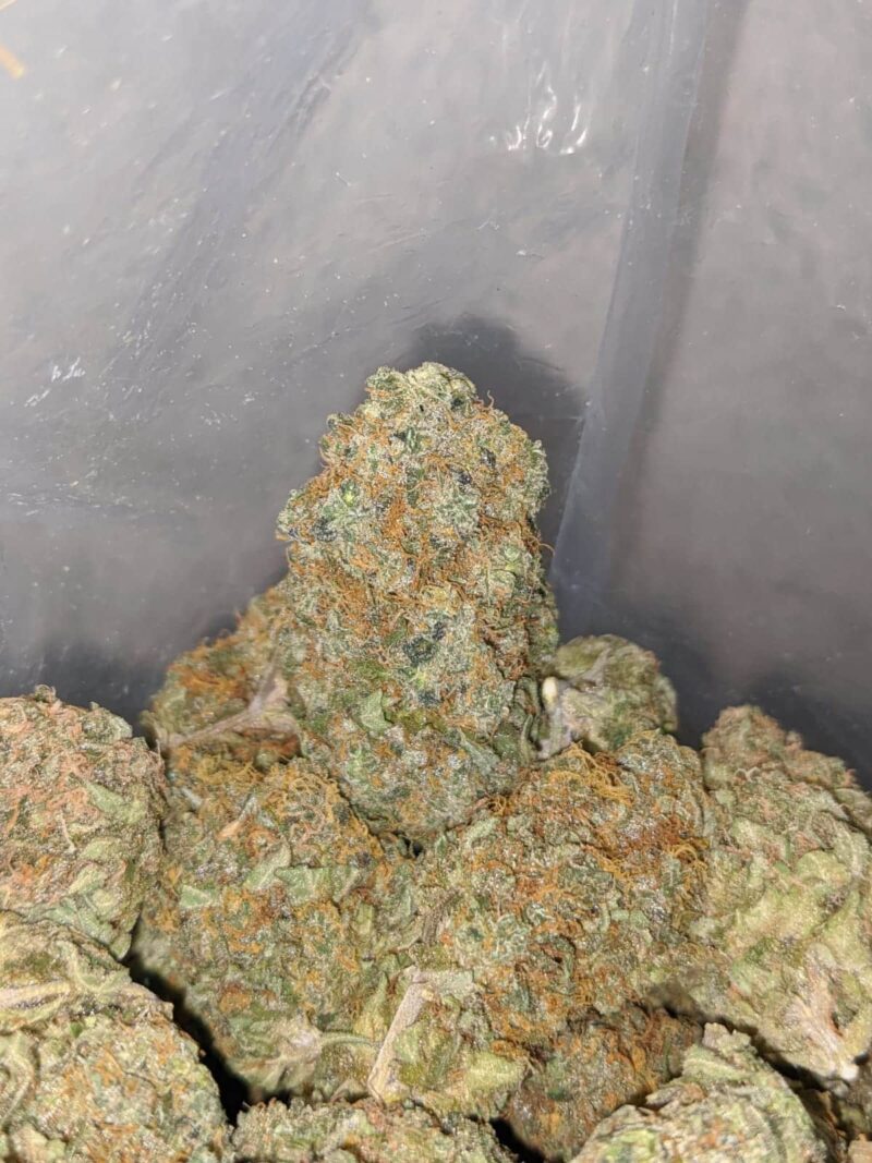 Cosmic Diesel - Image 4