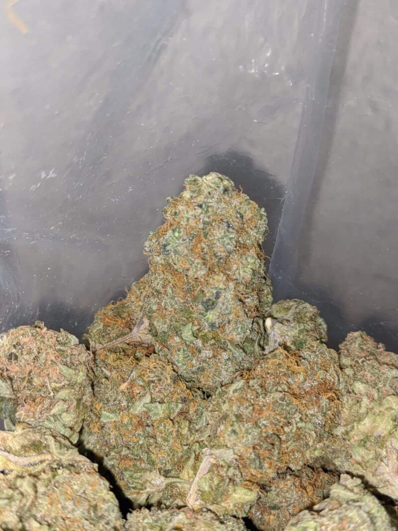 Cosmic Diesel - Image 7