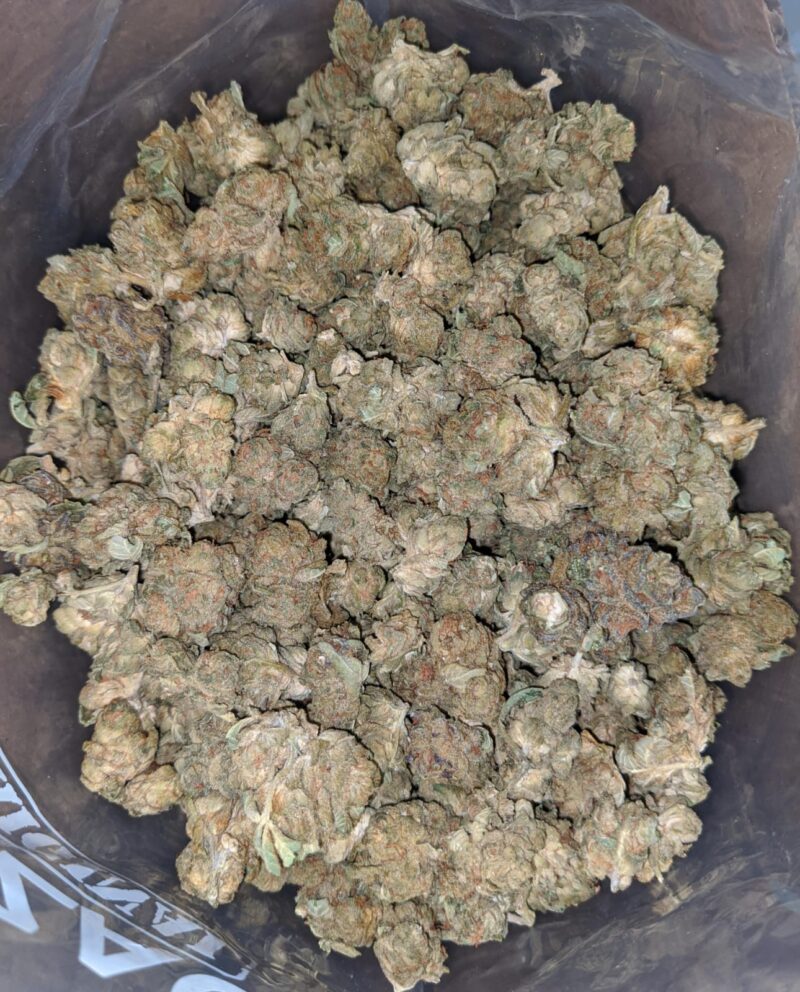 $ 38 Oz – Cougar Piss - Image 4