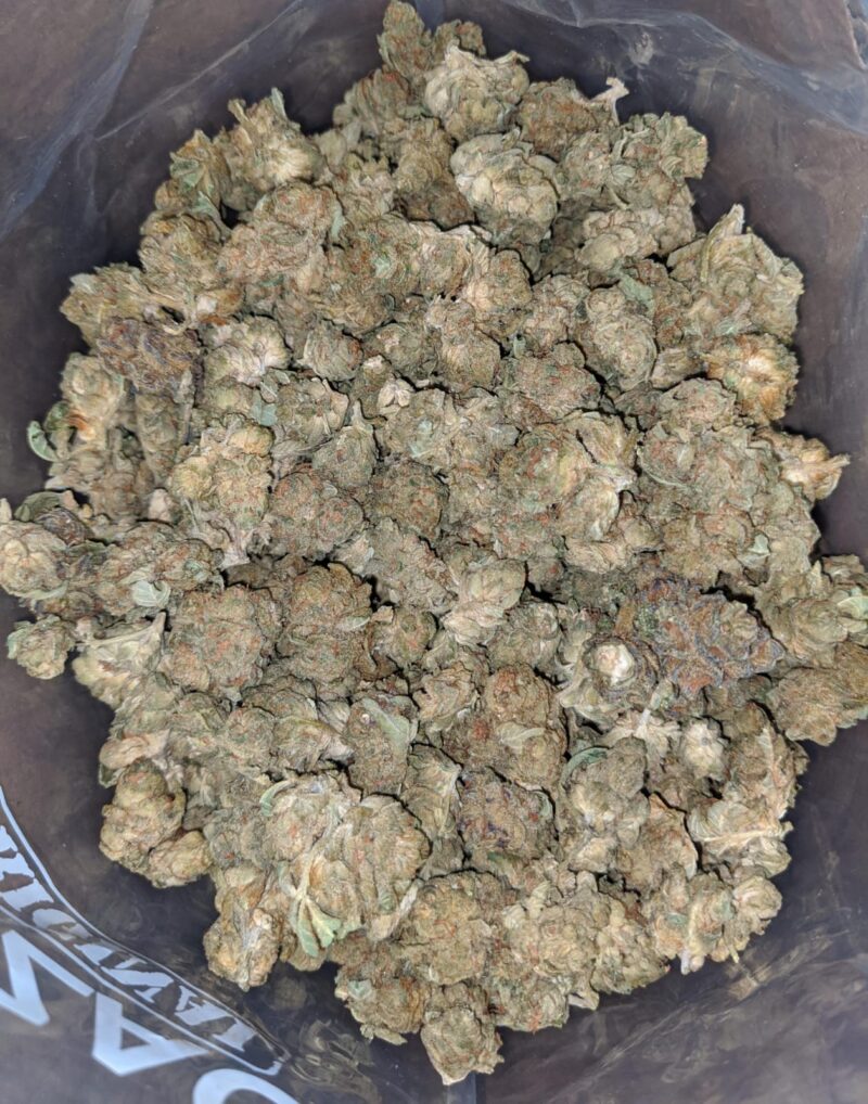 $ 38 Oz – Cougar Piss - Image 7