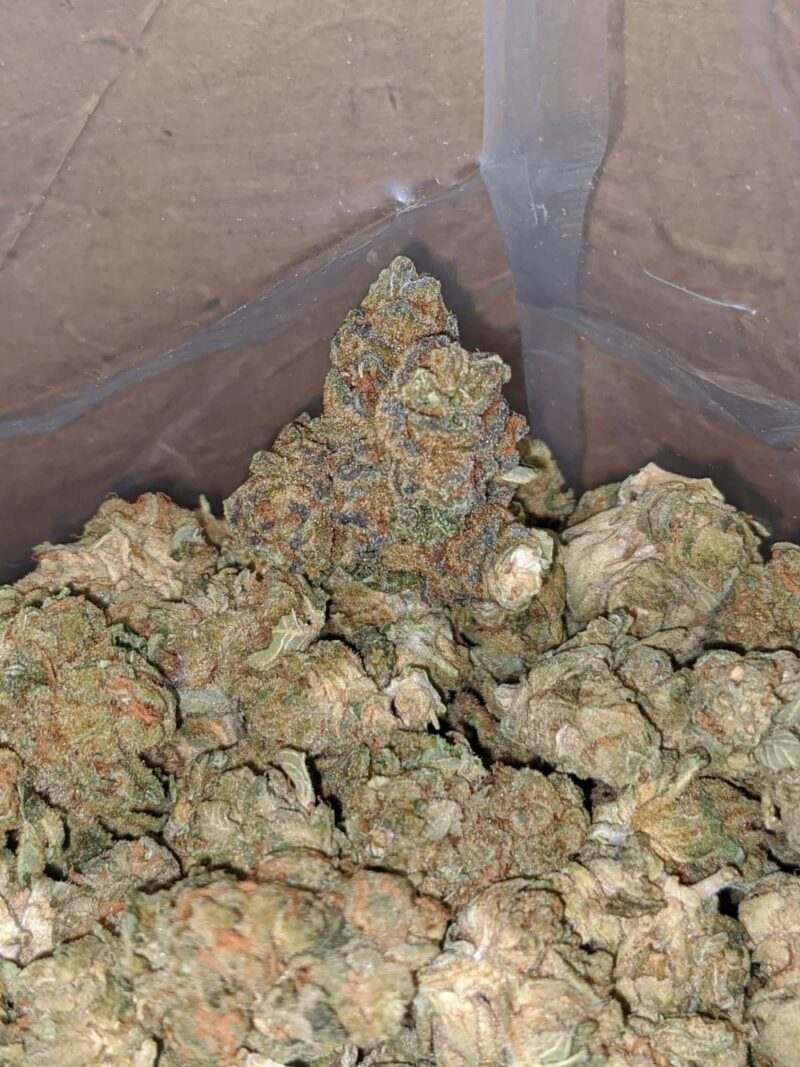 $ 38 Oz – Cougar Piss - Image 6