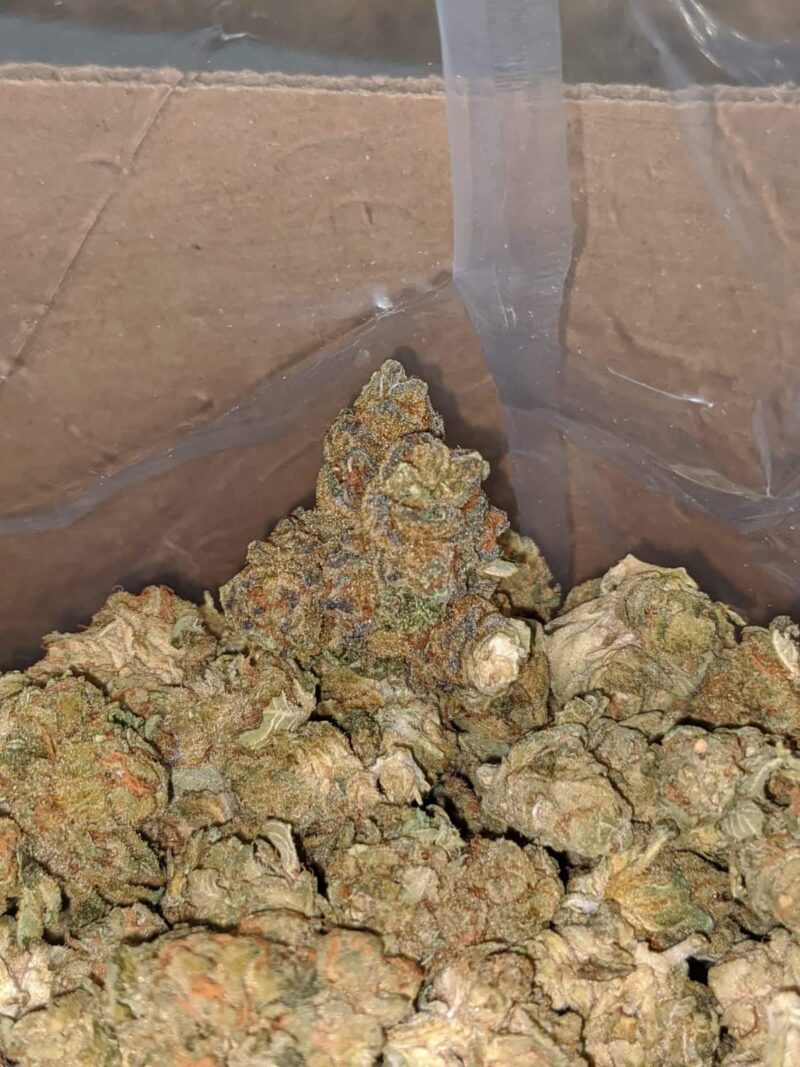 $ 38 Oz – Cougar Piss - Image 5